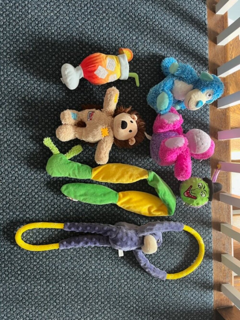 Three Dog Kong Toys plus 4